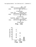 Expression of human milk proteins in transgenic plants diagram and image