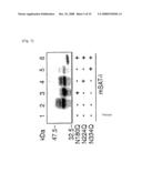 Mutant Glycoprotein Resistant to Modification with Asparagine-Linked Sugar Chain diagram and image