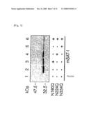 Mutant Glycoprotein Resistant to Modification with Asparagine-Linked Sugar Chain diagram and image