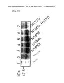 Mutant Glycoprotein Resistant to Modification with Asparagine-Linked Sugar Chain diagram and image