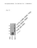 Mutant Glycoprotein Resistant to Modification with Asparagine-Linked Sugar Chain diagram and image