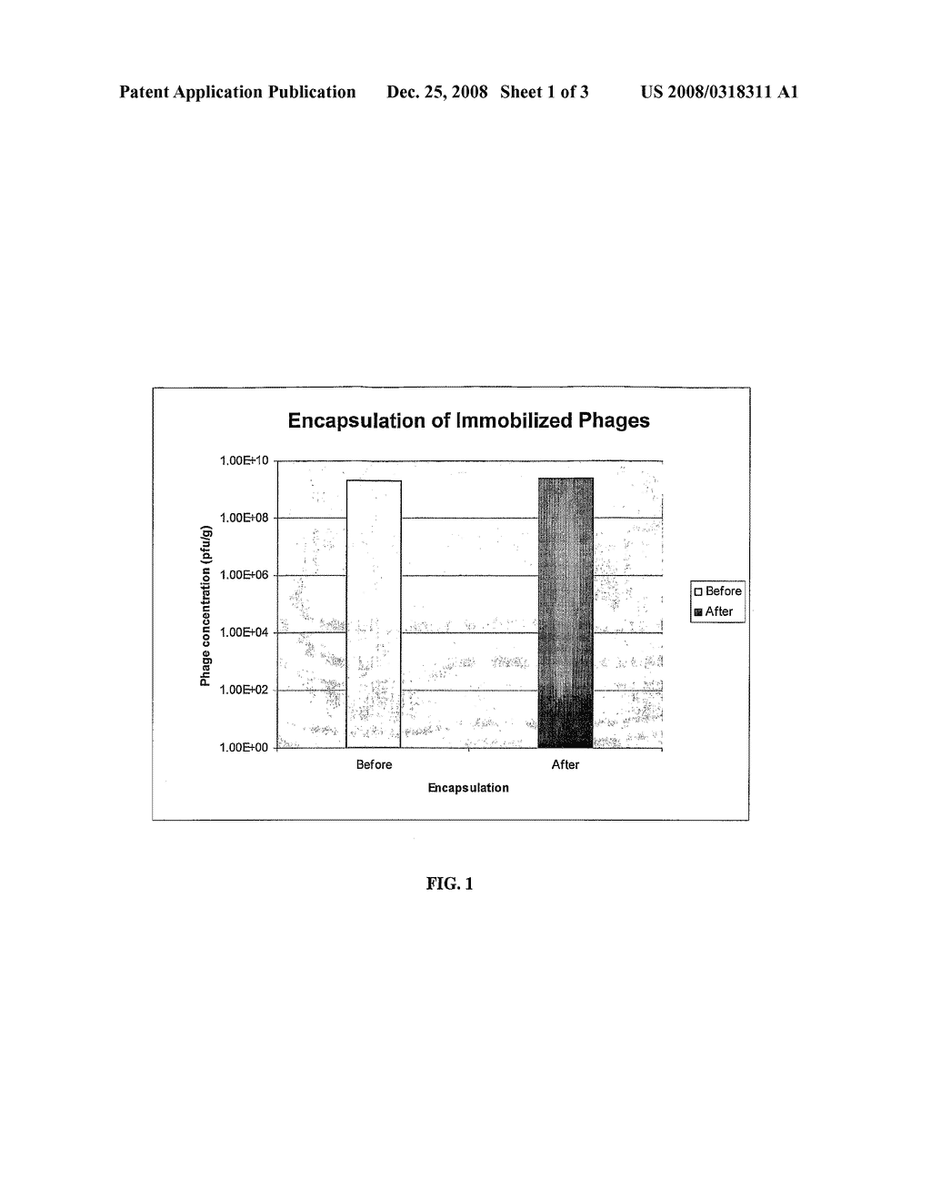 Encapsulated Bacteriophage Formulation - diagram, schematic, and image 02