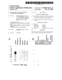 PANCREATIC ISLET TRANSCRIPTION FACTOR AND USES THEREOF diagram and image