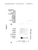 PANCREATIC ISLET TRANSCRIPTION FACTOR AND USES THEREOF diagram and image