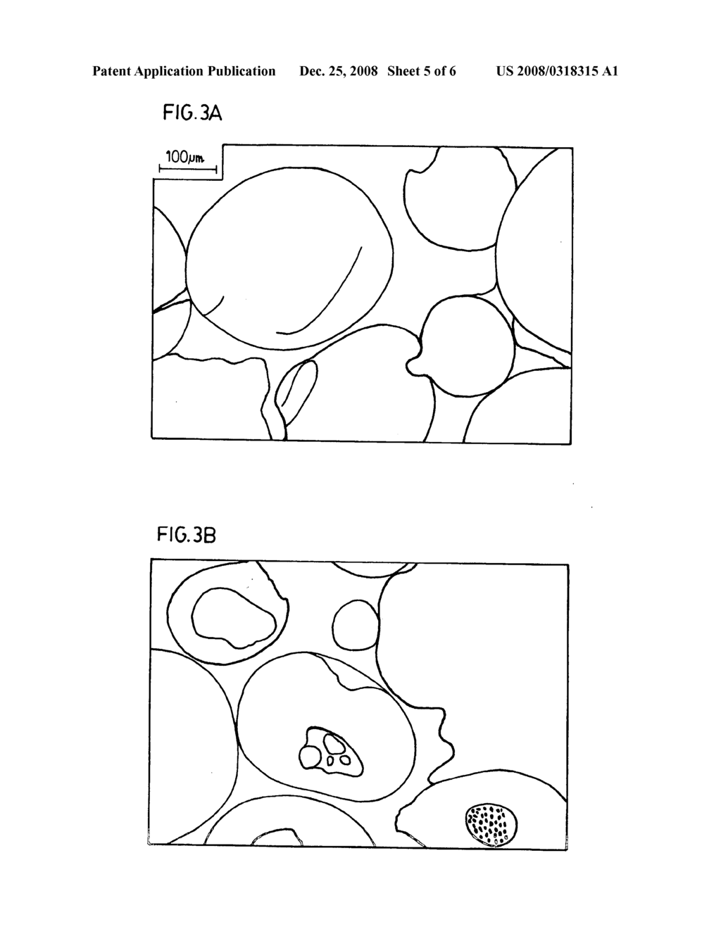 Reverse-Flow Perfusion of Three-Dimensional Scaffolds - diagram, schematic, and image 06