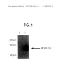 Methods for Generating Hypermutable Microbes diagram and image