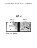 Methods for Generating Hypermutable Microbes diagram and image