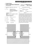 Method of Fabricating a Duel-Gate Fet diagram and image