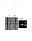 METHOD FOR FABRICATING SEMICONDUCTOR TRANSISTOR diagram and image