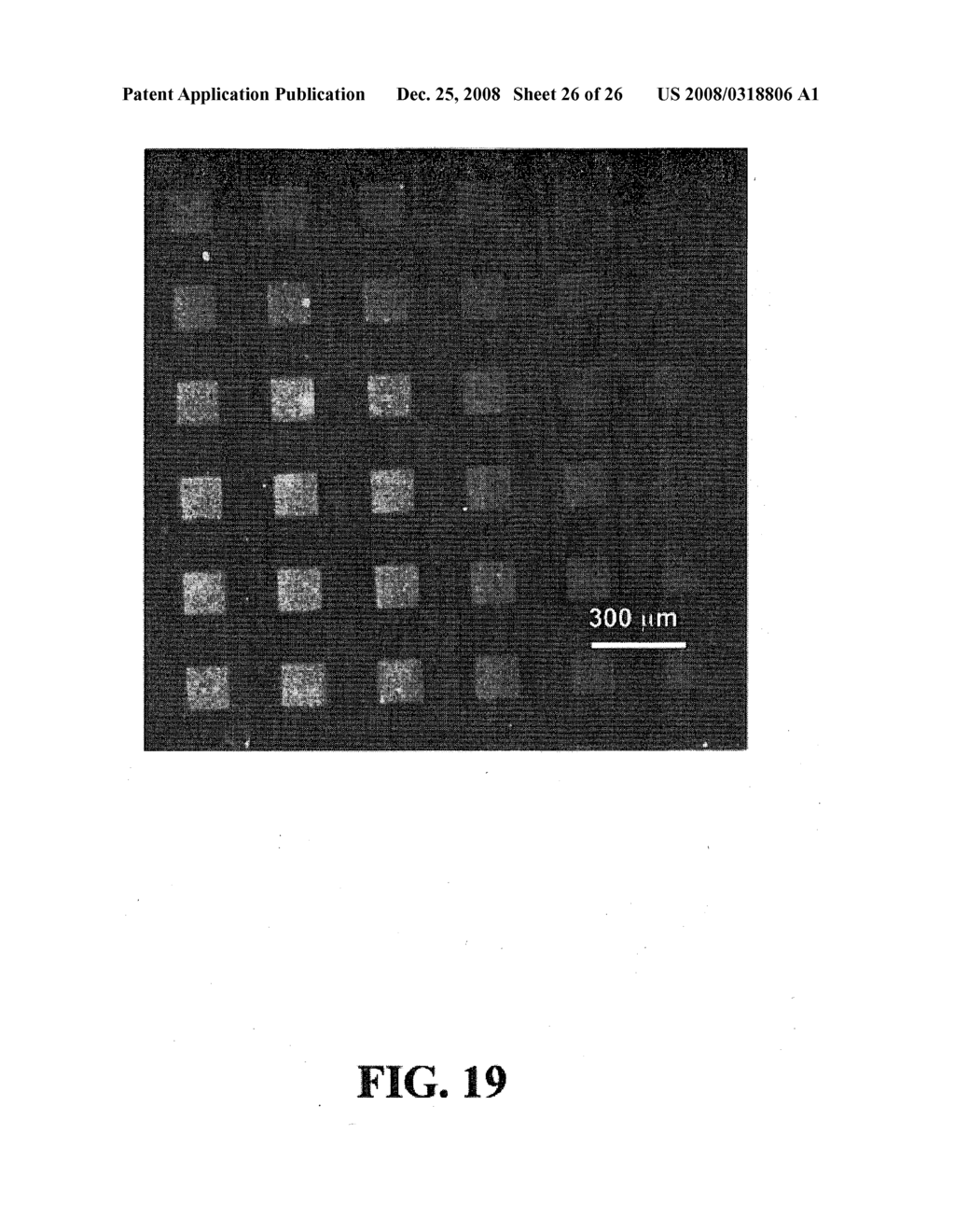 DEVICE FOR CHEMICAL AND BIOCHEMICAL REACTIONS USING PHOTO-GENERATED REAGENTS - diagram, schematic, and image 27