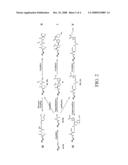 Iterated Branching Reaction Pathways Via Nucleic Acid-Mediated Chemistry diagram and image