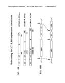 Ligand activated transcriptional regulator proteins diagram and image