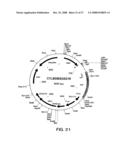 Ligand activated transcriptional regulator proteins diagram and image