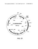 Ligand activated transcriptional regulator proteins diagram and image