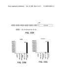 Ligand activated transcriptional regulator proteins diagram and image