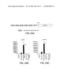 Ligand activated transcriptional regulator proteins diagram and image