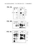 Antiproliferative activity of g-rich oligonucleotides and method of using same to bind to nucleolin diagram and image