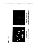 Antiproliferative activity of g-rich oligonucleotides and method of using same to bind to nucleolin diagram and image