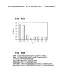 Antiproliferative activity of g-rich oligonucleotides and method of using same to bind to nucleolin diagram and image