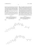 PHENOXYPYRIDINE DERIVATIVE SALTS AND CRYSTALS THEREOF, AND PROCESS FOR PREPARING THE SAME diagram and image