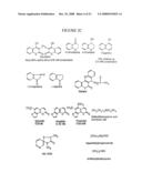 Therapeutic and Diagnostic Methods Dependent on CYP2A Enzymes diagram and image