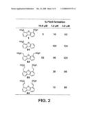 Transthyretin Stabilization diagram and image