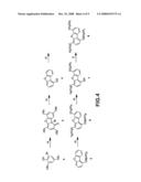 Transthyretin Stabilization diagram and image