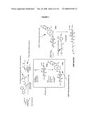 Branched Polymeric Sugars and Nucleotides Thereof diagram and image