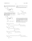 Branched Polymeric Sugars and Nucleotides Thereof diagram and image