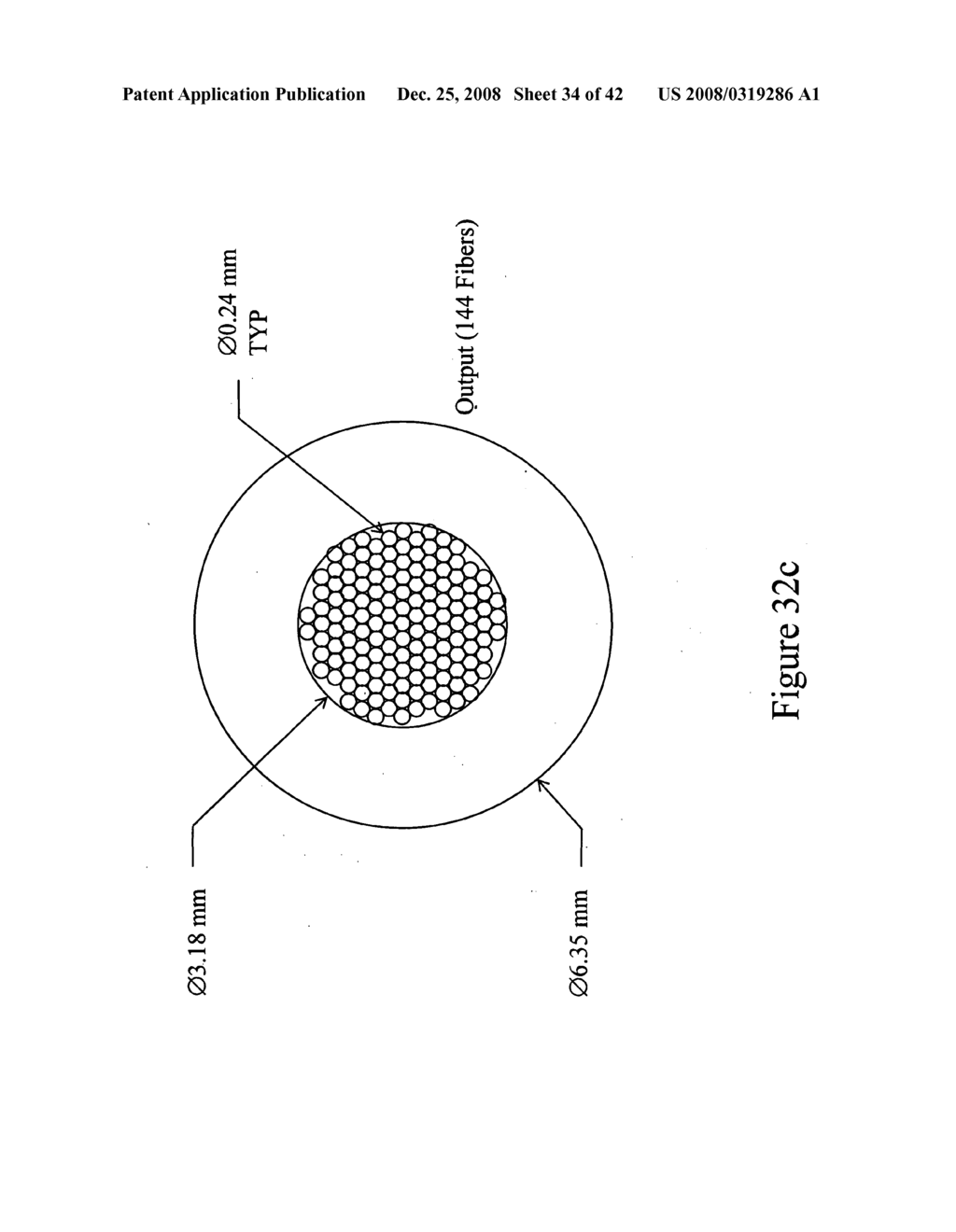 Optical Probes for Non-Invasive Analyte Measurements - diagram, schematic, and image 35