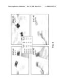 Thioester-ester-amide copolymers diagram and image