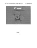 Raspberry variety named  Korere  diagram and image