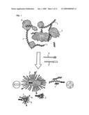 Method And Apparatus Of Concentration And Purification Of Nucleic Acid diagram and image