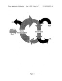 Production of Low Temperature Electrolytic Hydrogen diagram and image