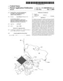 Separating and transporting flexible two-dimensional (sheet-like) product diagram and image