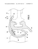 Foof weather strip diagram and image