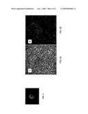 SYSTEM AND METHOD FOR THE ELECTROSTATIC DETECTION AND IDENTIFICATION OF THREAT AGENTS diagram and image