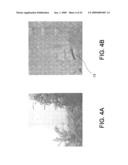 Nondestructive Residential Inspection Method and Apparatus diagram and image