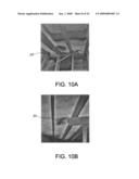 Nondestructive Residential Inspection Method and Apparatus diagram and image