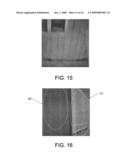 Nondestructive Residential Inspection Method and Apparatus diagram and image