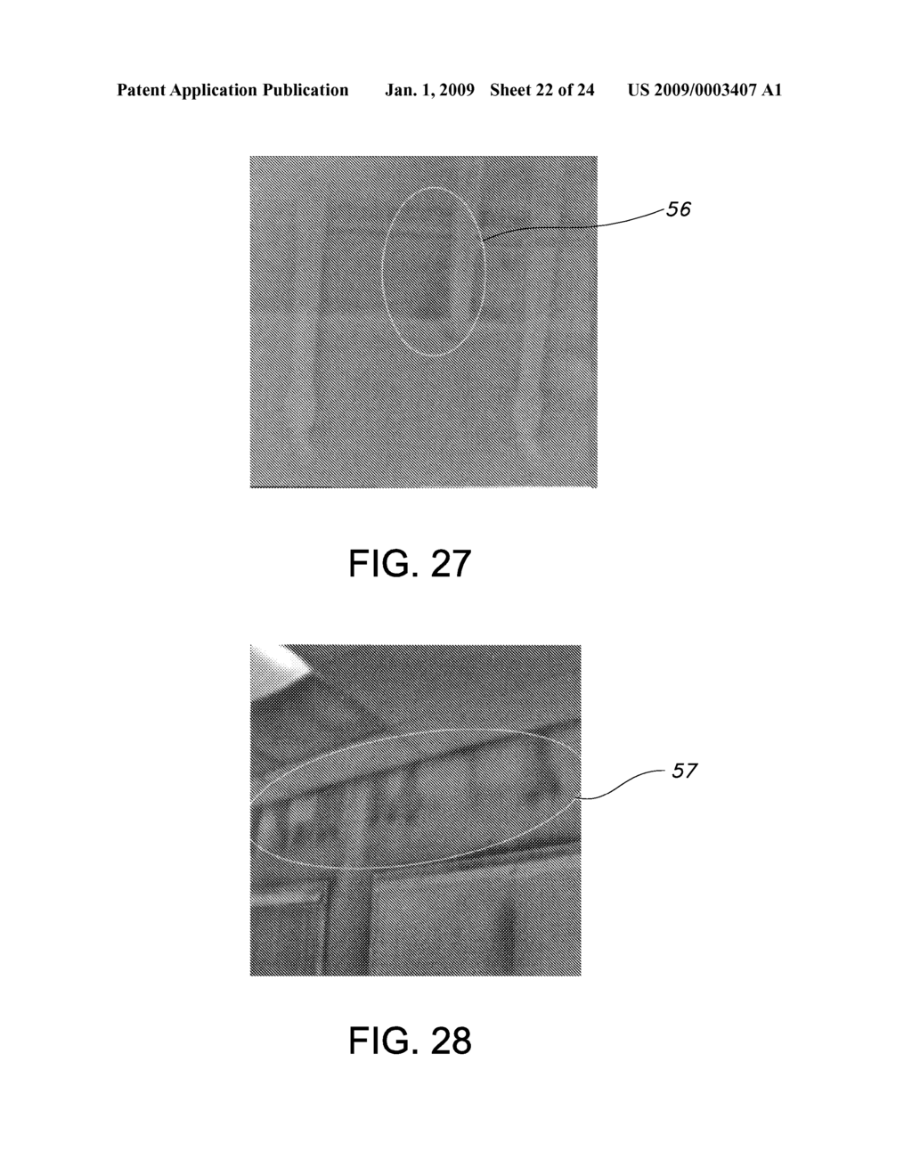 Nondestructive Residential Inspection Method and Apparatus - diagram, schematic, and image 23