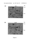 HSC70 directed diagnostics and therapeutics for multidrug resistant neoplastic disease diagram and image