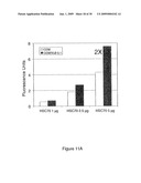 HSC70 directed diagnostics and therapeutics for multidrug resistant neoplastic disease diagram and image