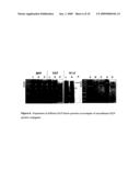 Methods and Compositions for Delivering Active Agents with Enhanced Pharmacological Properties diagram and image