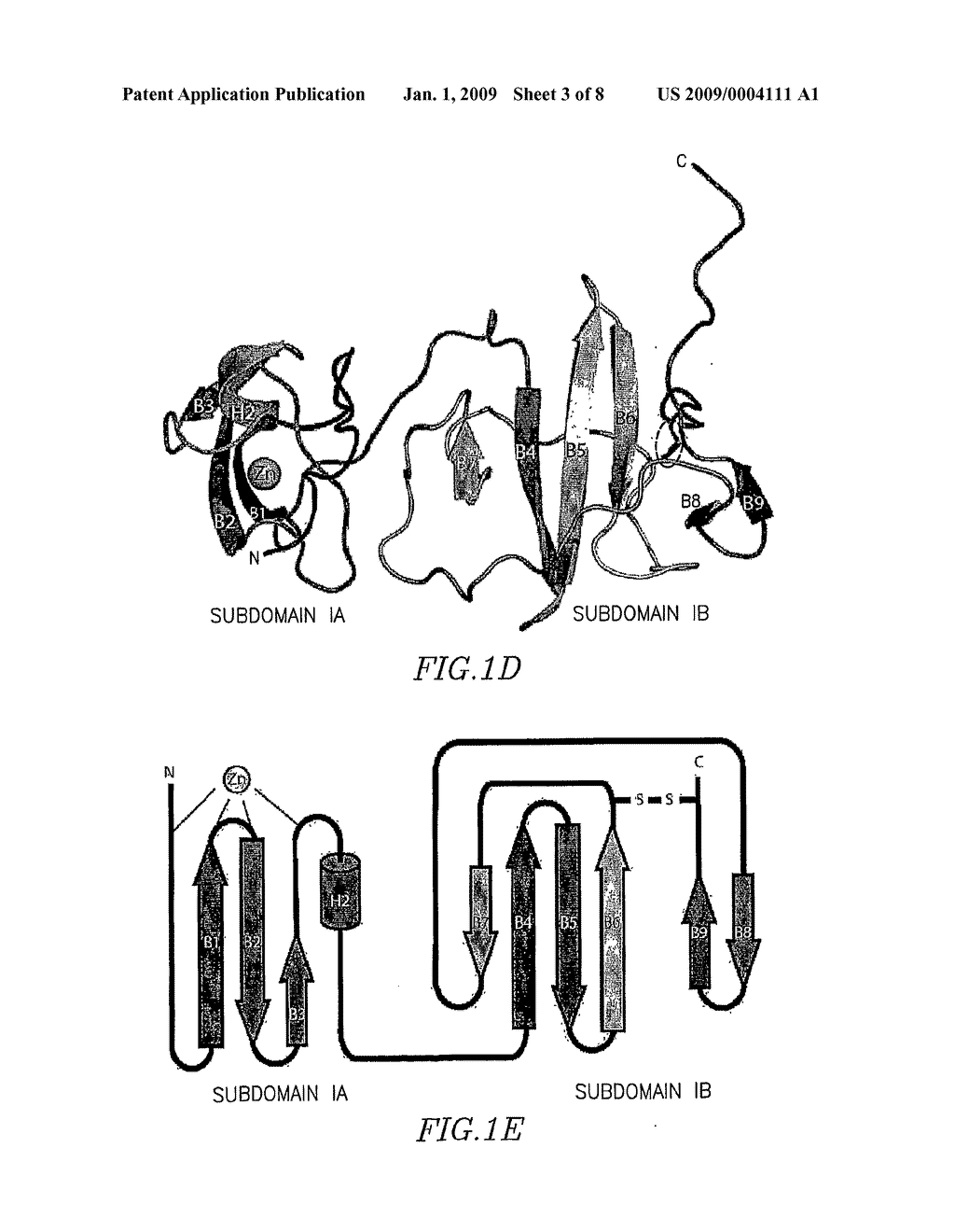 Structure of the Hepatitis C Ns5a Protein - diagram, schematic, and image 04