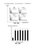 KIT FOR TREATING A HEALTH CONDITION BY INDUCING TRANSLOCATION OF AN ERP57 PROTEIN TO A CELLULAR MEMBRANE diagram and image