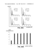 KIT FOR TREATING A HEALTH CONDITION BY INDUCING TRANSLOCATION OF AN ERP57 PROTEIN TO A CELLULAR MEMBRANE diagram and image