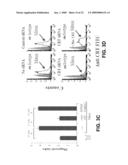 KIT FOR TREATING A HEALTH CONDITION BY INDUCING TRANSLOCATION OF AN ERP57 PROTEIN TO A CELLULAR MEMBRANE diagram and image