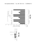 KIT FOR TREATING A HEALTH CONDITION BY INDUCING TRANSLOCATION OF AN ERP57 PROTEIN TO A CELLULAR MEMBRANE diagram and image