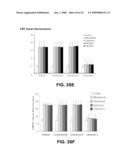 KIT FOR TREATING A HEALTH CONDITION BY INDUCING TRANSLOCATION OF AN ERP57 PROTEIN TO A CELLULAR MEMBRANE diagram and image